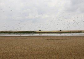 La Laguna de Boada.