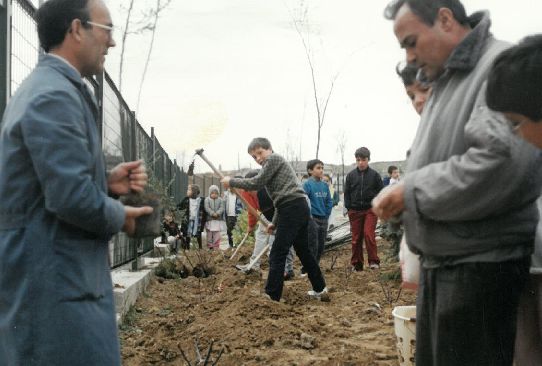 Día Forestal Mundial. 