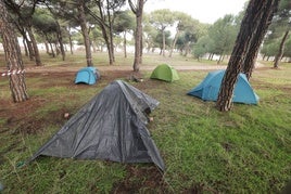 Las primeras tiendas de campaña ya asoman en la campa de Pingüinos.