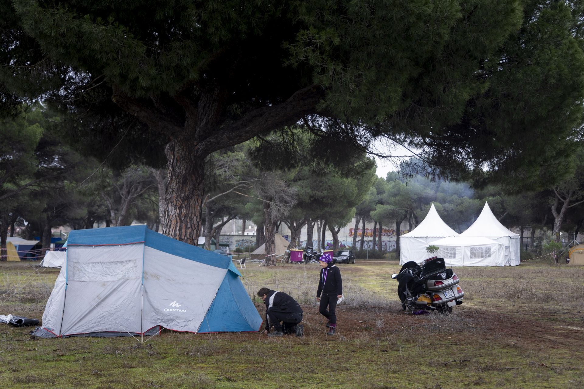 Primera mañana en la zona de acampada de Pingüinos