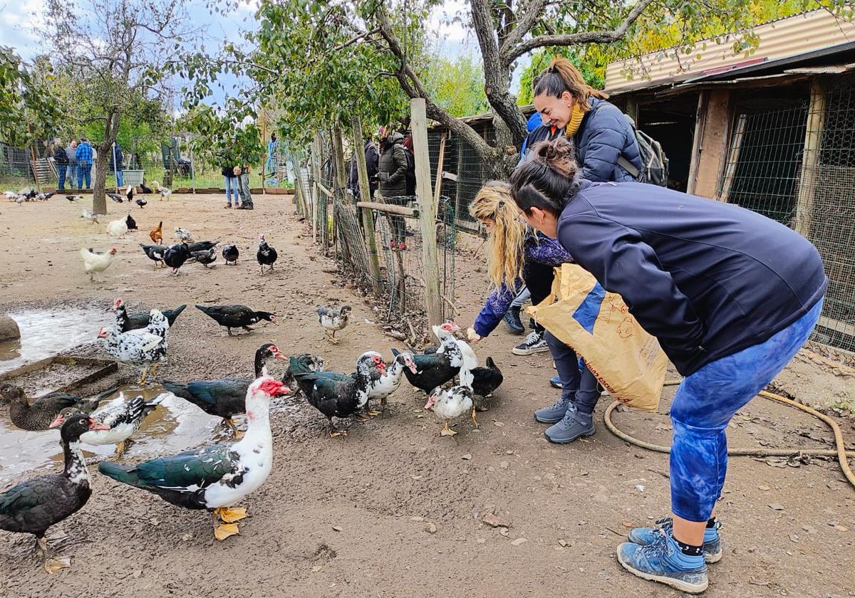 Varios participantes en el proyecto dan de comer a los patos.