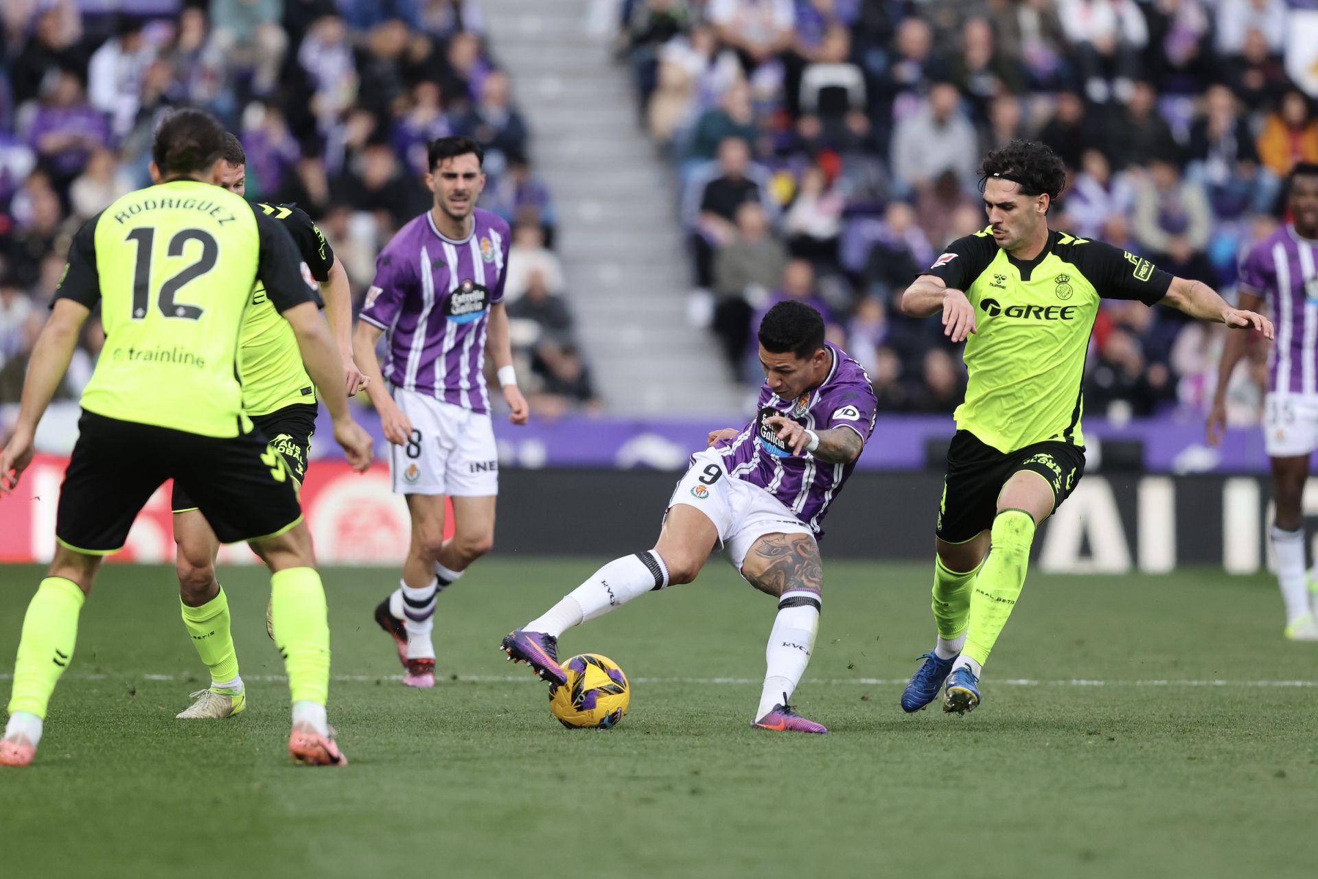 Las fotos del Real Valladolid 1-0 Betis