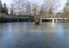 Estanque congelado en el parque Ribera de Castilla de Valladolid.