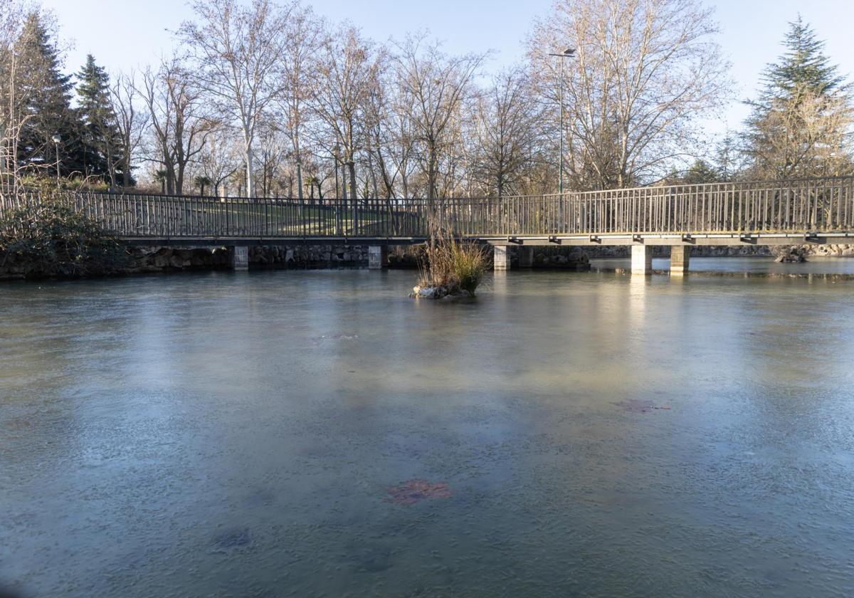 Estanque congelado en el parque Ribera de Castilla de Valladolid.