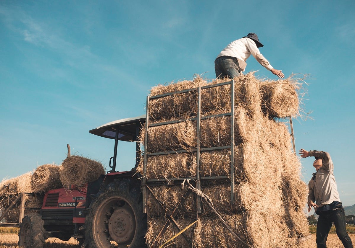 UCCL pide una rectificación en la regularización de los autónomos agrarios