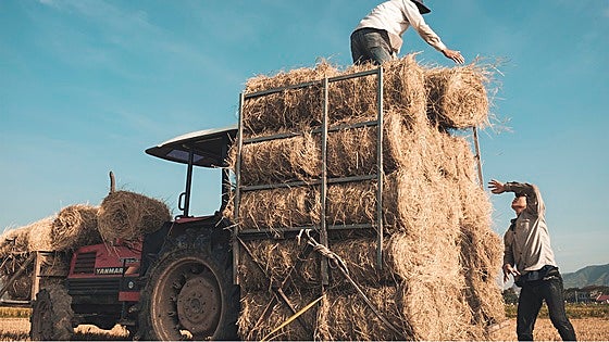 UCCL pide una rectificación en la regularización de los autónomos agrarios