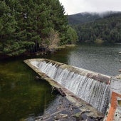 El Tejo: un legado de agua, naturaleza y disputas