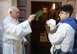 Bendición de animales en la iglesia del Salvador por el día de San Antón