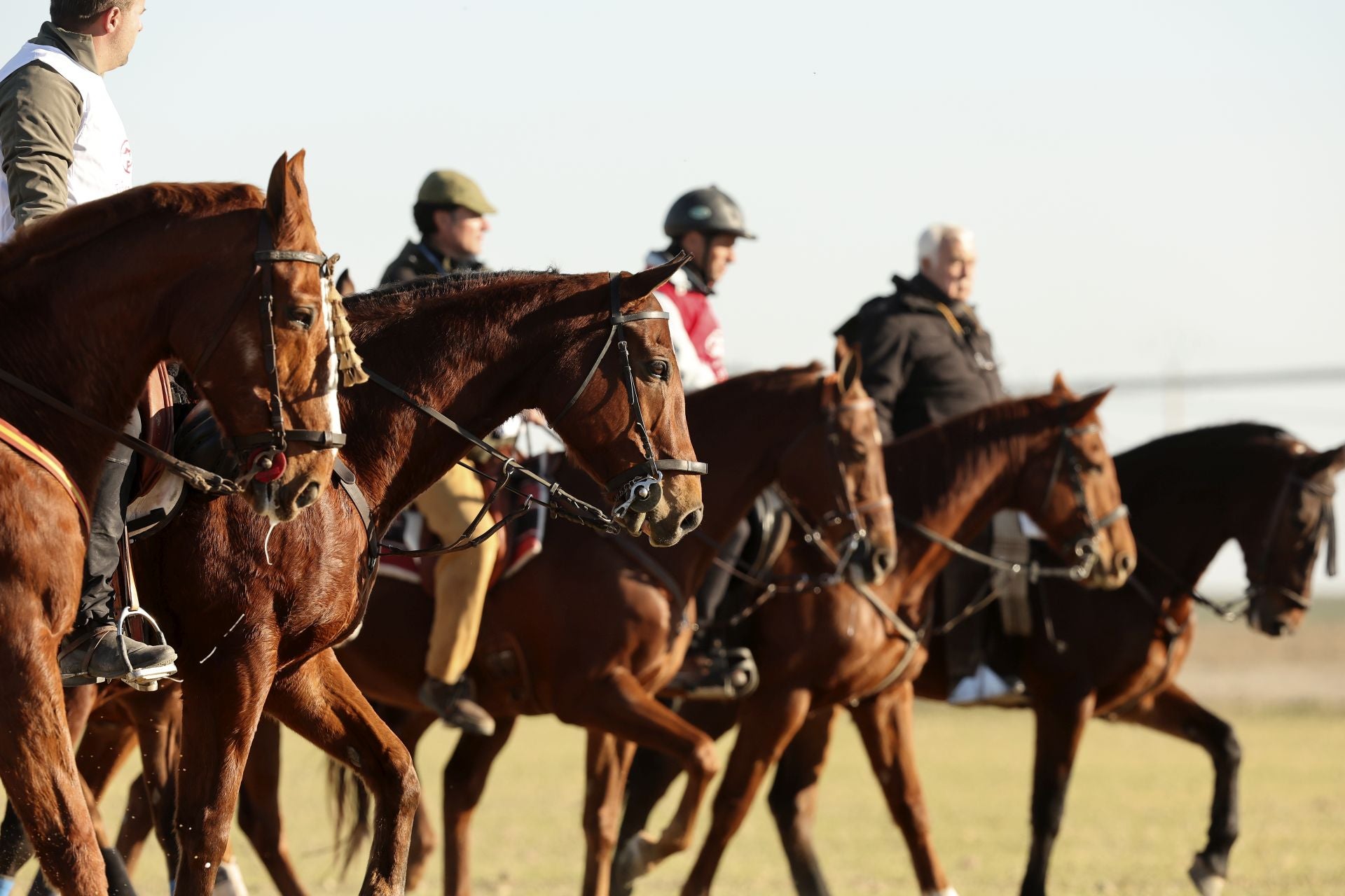 Las imágenes de los cuartos de final del LXXXVII Campeonato de Galgos