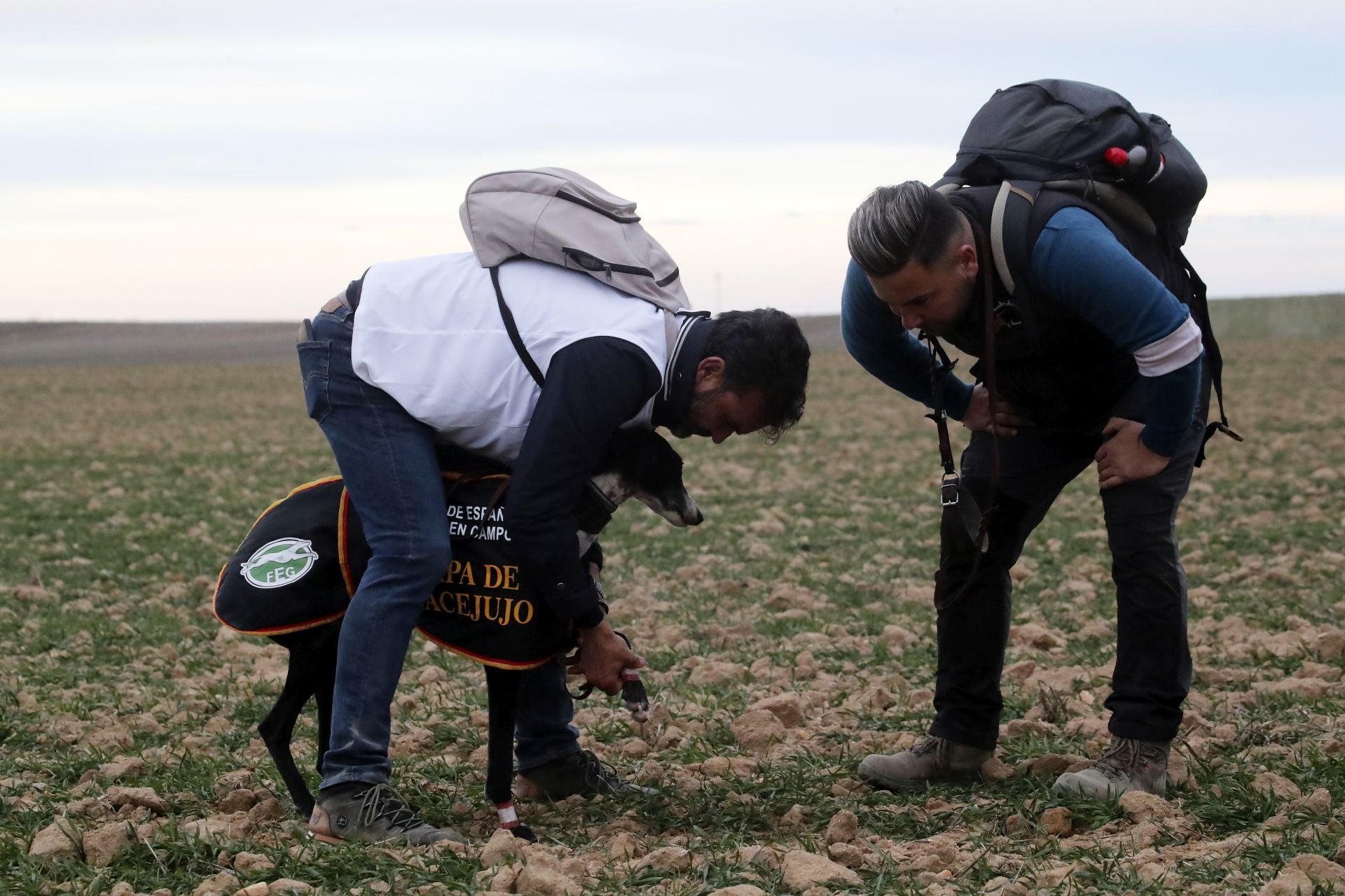 Las imágenes de una nueva jornada de los cuartos de final del LXXXVII Campeonato de Galgos