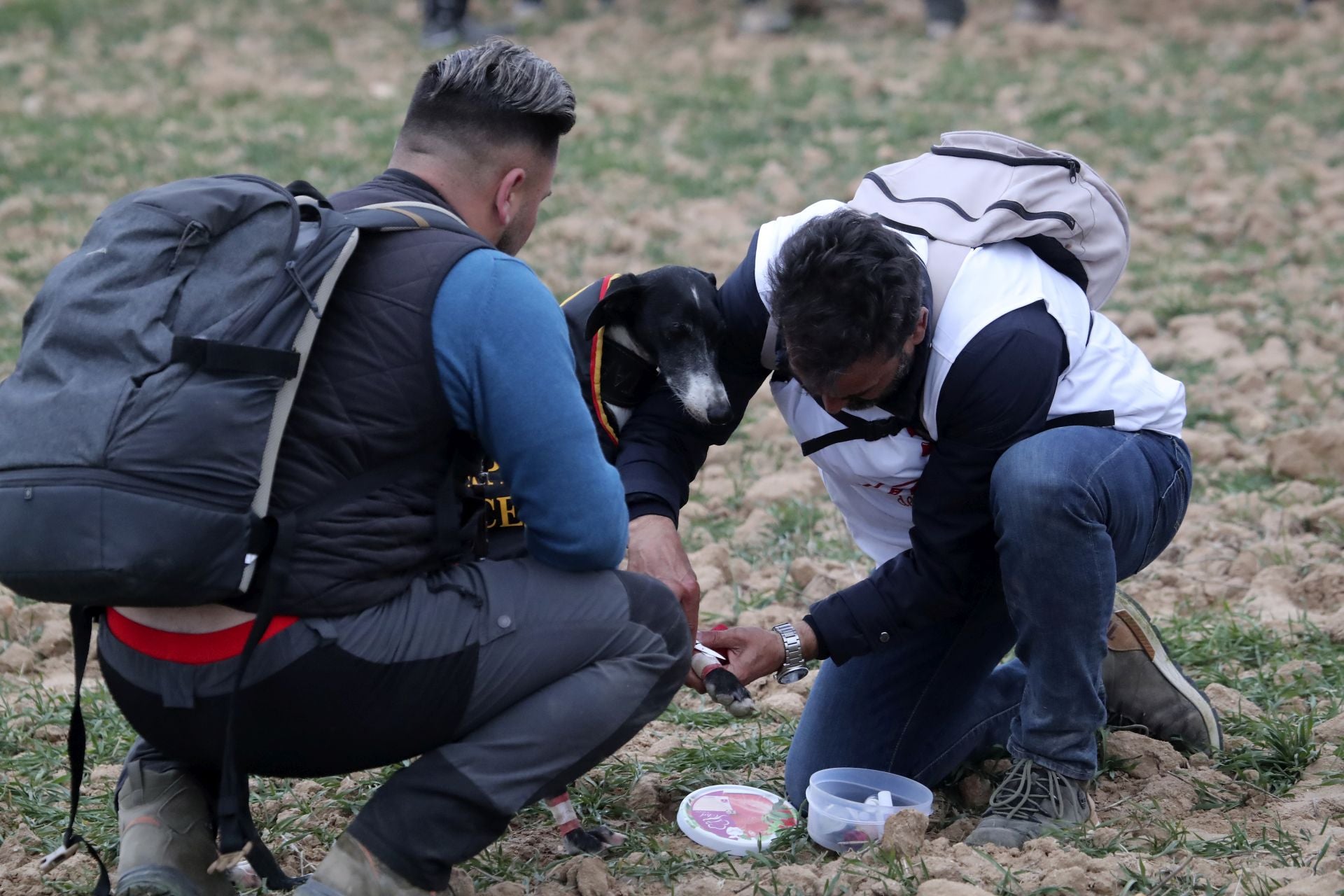 Las imágenes de una nueva jornada de los cuartos de final del LXXXVII Campeonato de Galgos