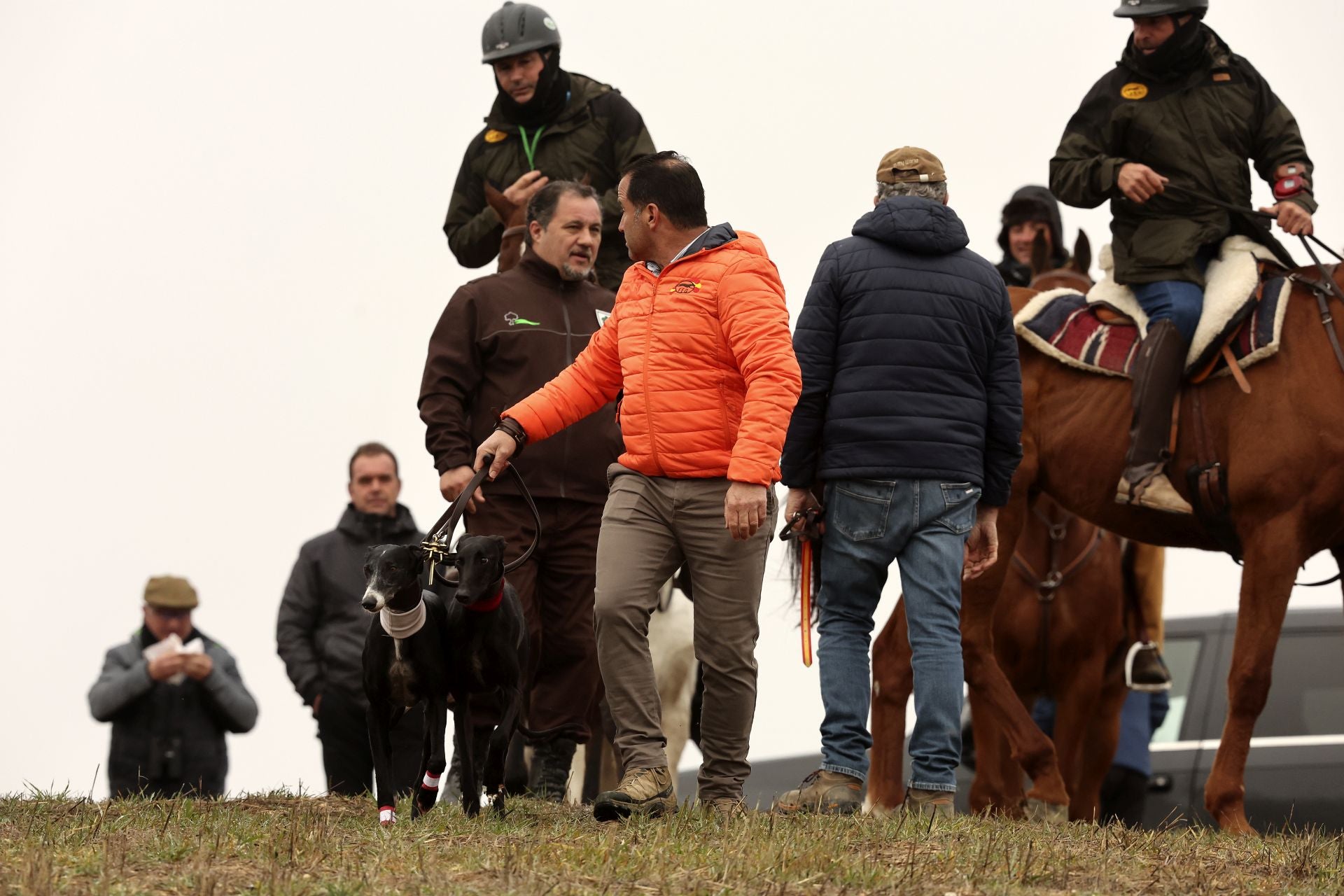 El campeonato de España de galgos en imágenes