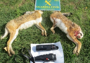 Sorprenden a cinco personas cazando sin licencia liebres con galgos