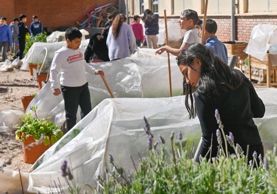 Varios alumnos realizan labores en un colegio de Valladlid, en una imagen de archivo.