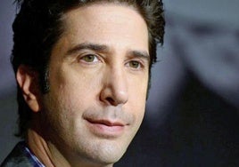 David Schwimmer.