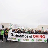 Denuncian la bajada de hasta 0,30 euros de la leche de ovino