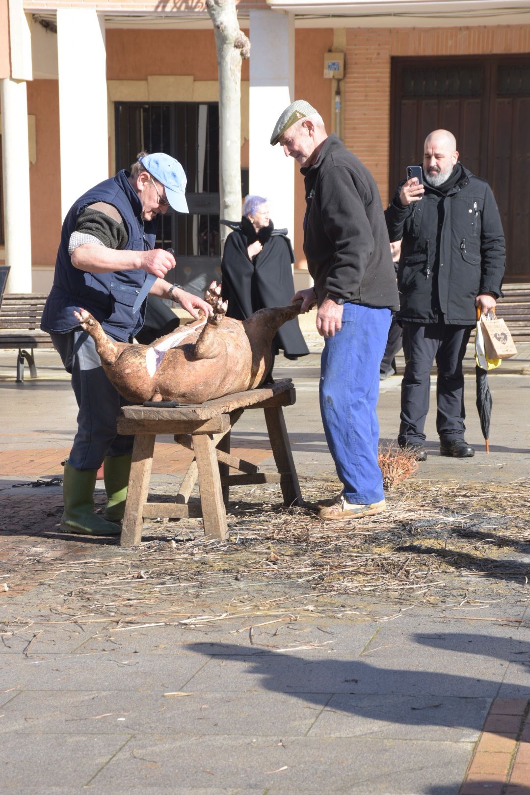 El invierno es motivo de fiesta en Becerril de Campos