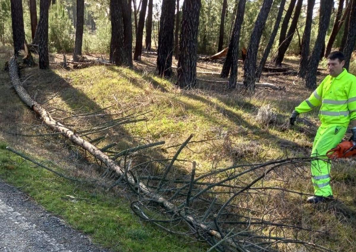 Imagen secundaria 1 - Arriba, árbol arrancado por el viento en una calle de Cuéllar; en el medio un operario despeja la calzada entre Chañe y Vallelado al precipitarse un árbol, y abajo, pequeña inundación en la carretera de Cascajares. 