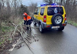 Voluntarios de Protección Civil retiran un árbol caído en la provincia de Zamora.