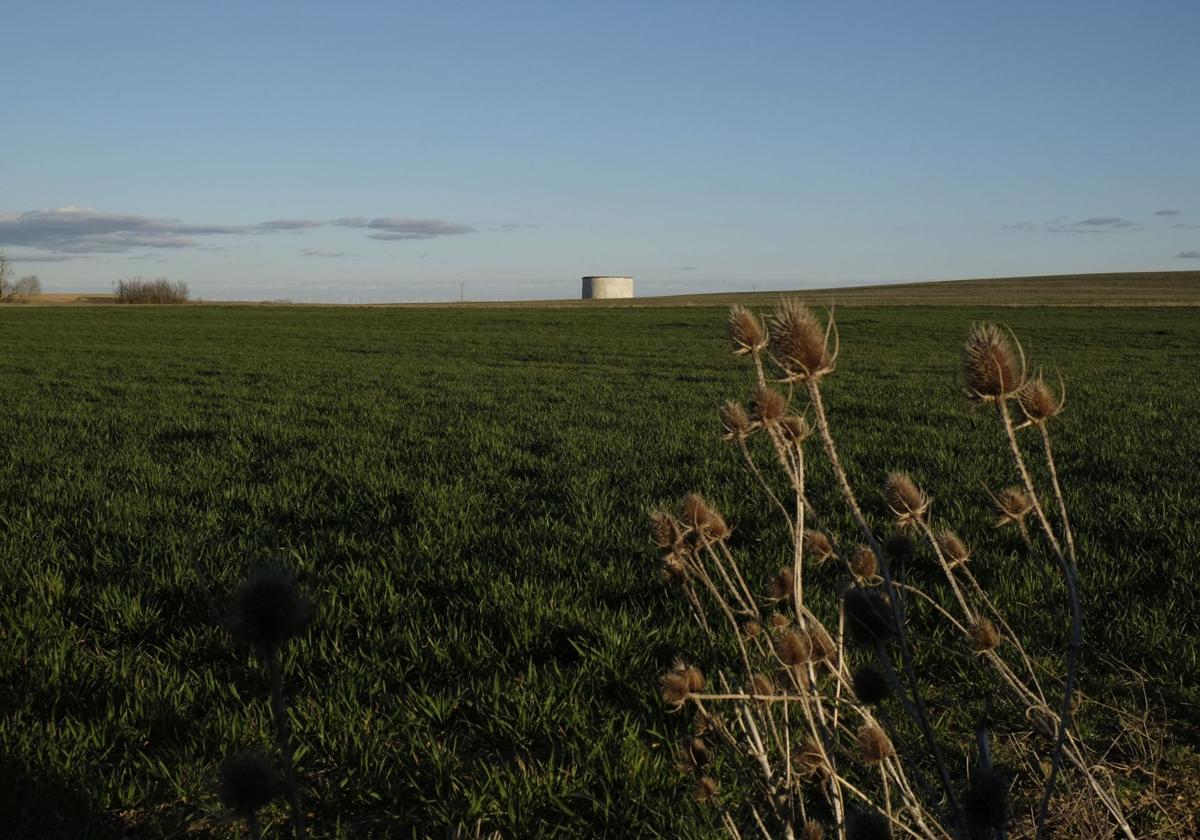 Paisaje de Tierra de Campos en las inmediaciones de Villalón.