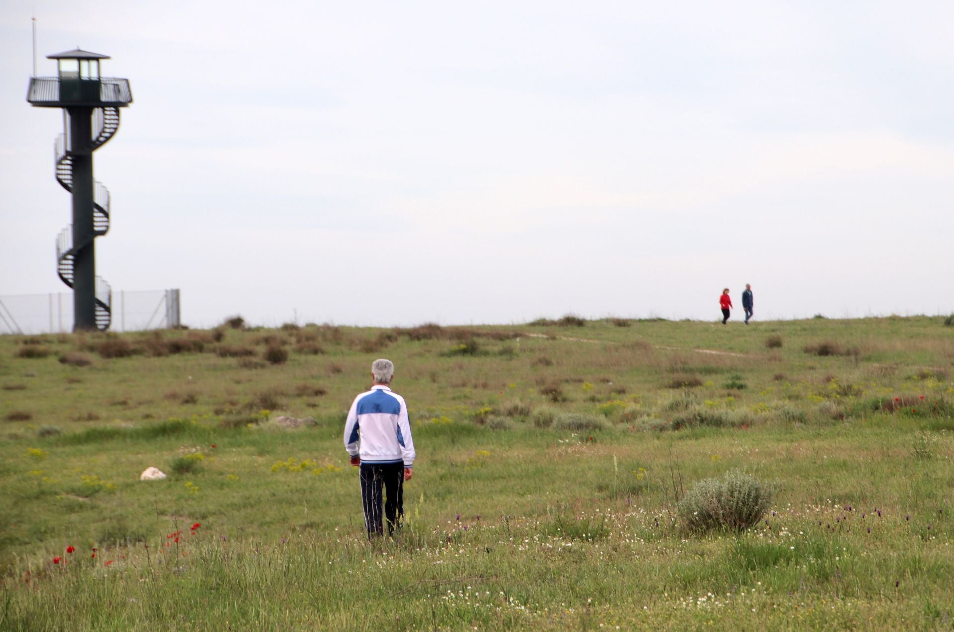 El PP propone la instalación de un columpio atractivo en el paraje de Las Lomas.