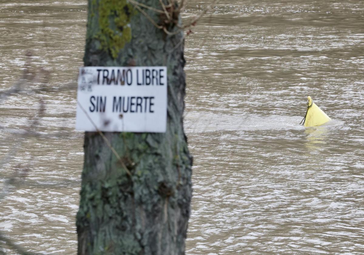 La crecida del río Pisuerga a su paso por Valladolid, en imágenes