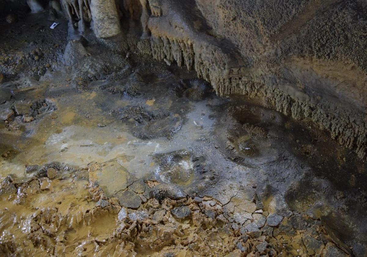 Huellas halladas en la cueva Honseca.