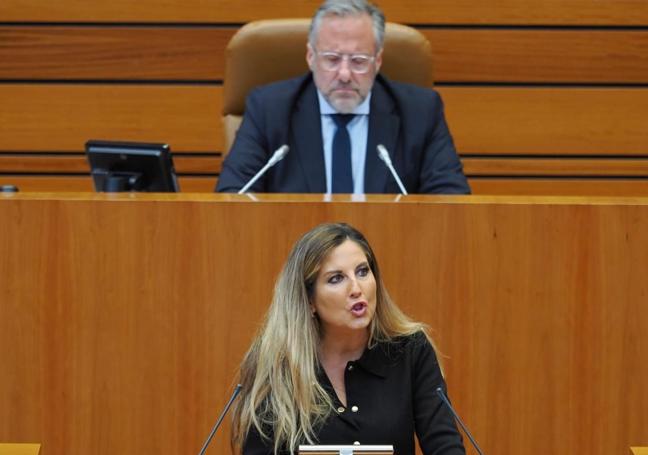 Ana Rosa Hernando, durante una intervención en las Cortes de Castilla y León.