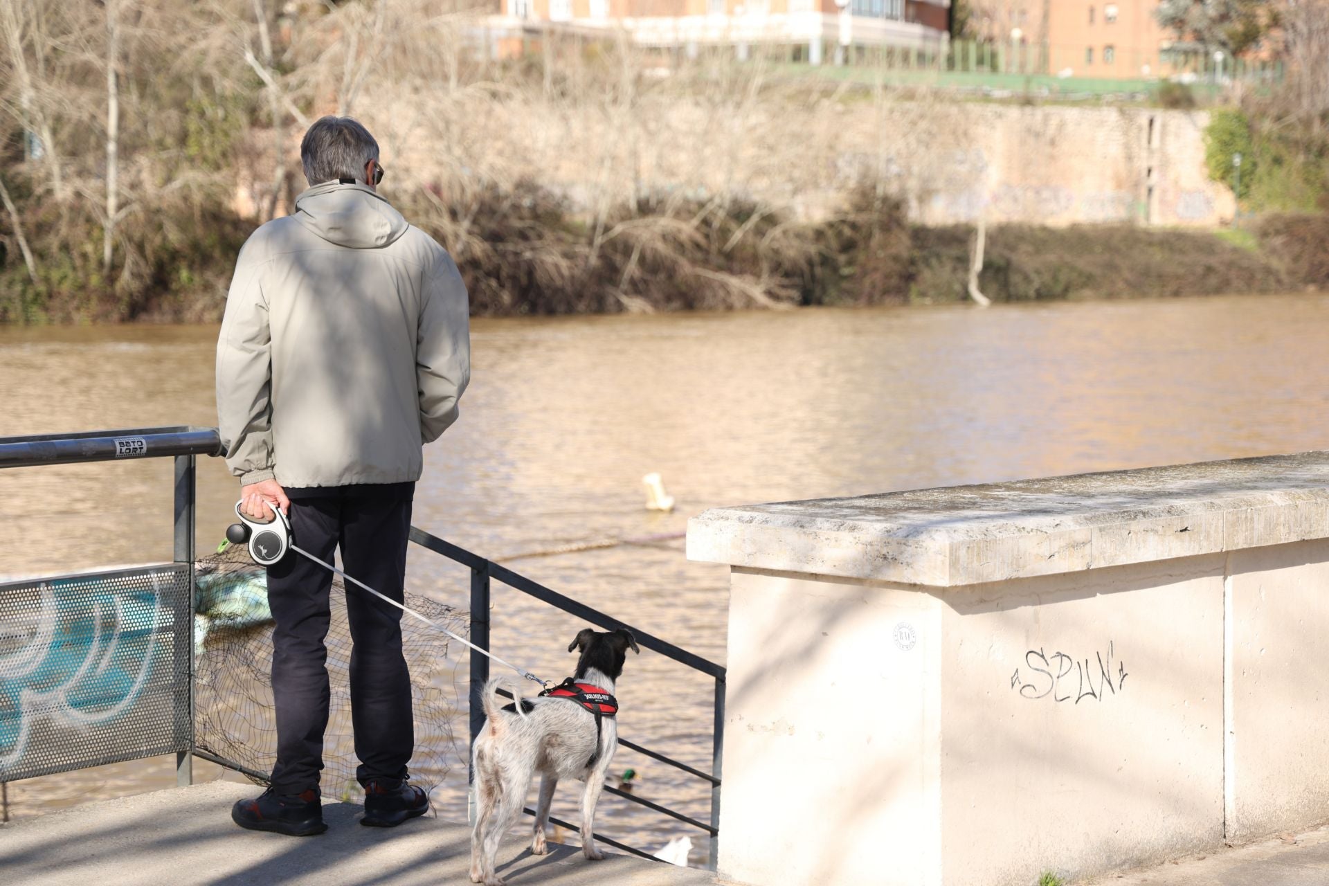 El estado del río Pisuerga, en imágenes