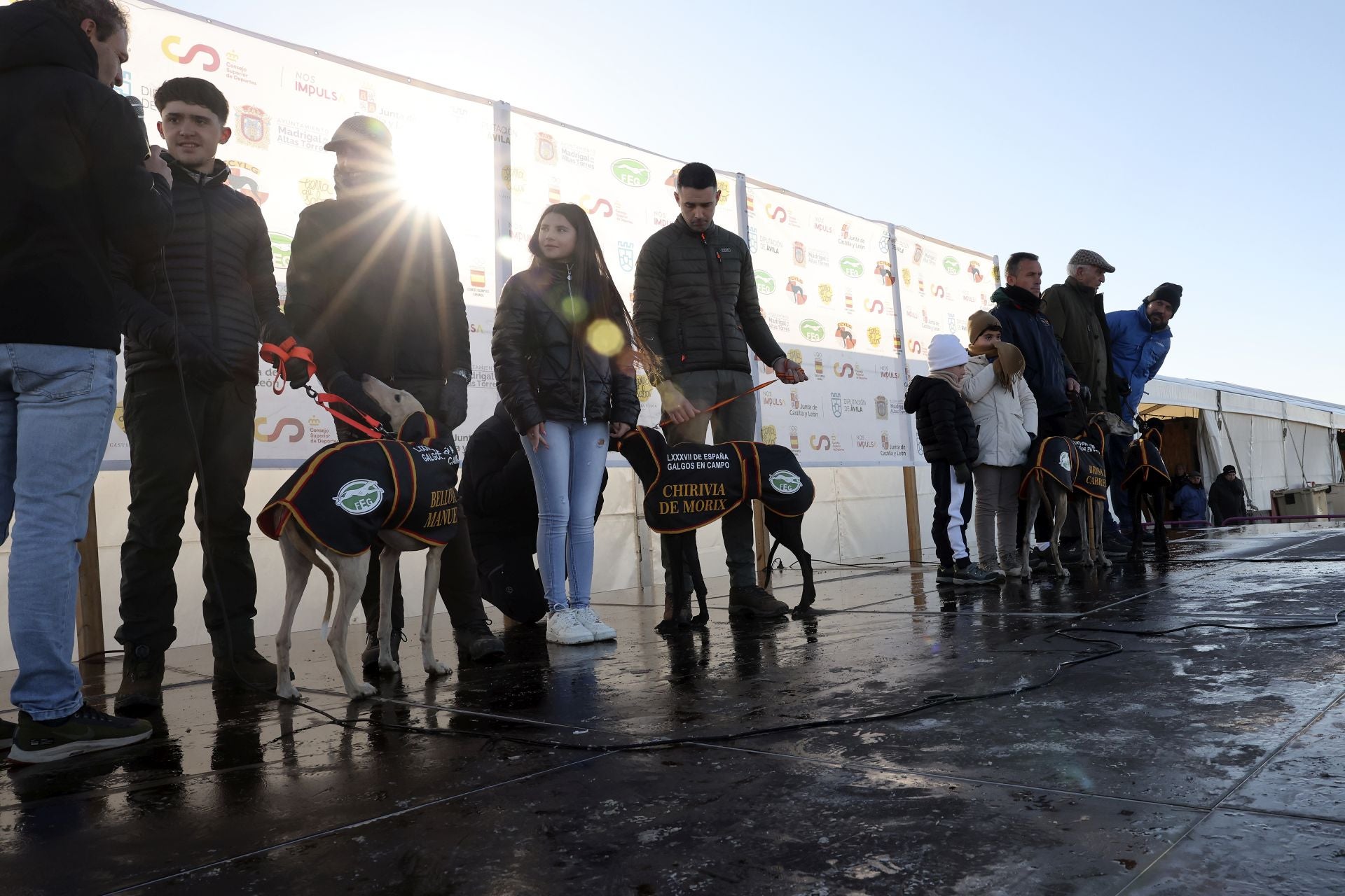 Las imágenes de las semifinales del Campeonato de Galgos