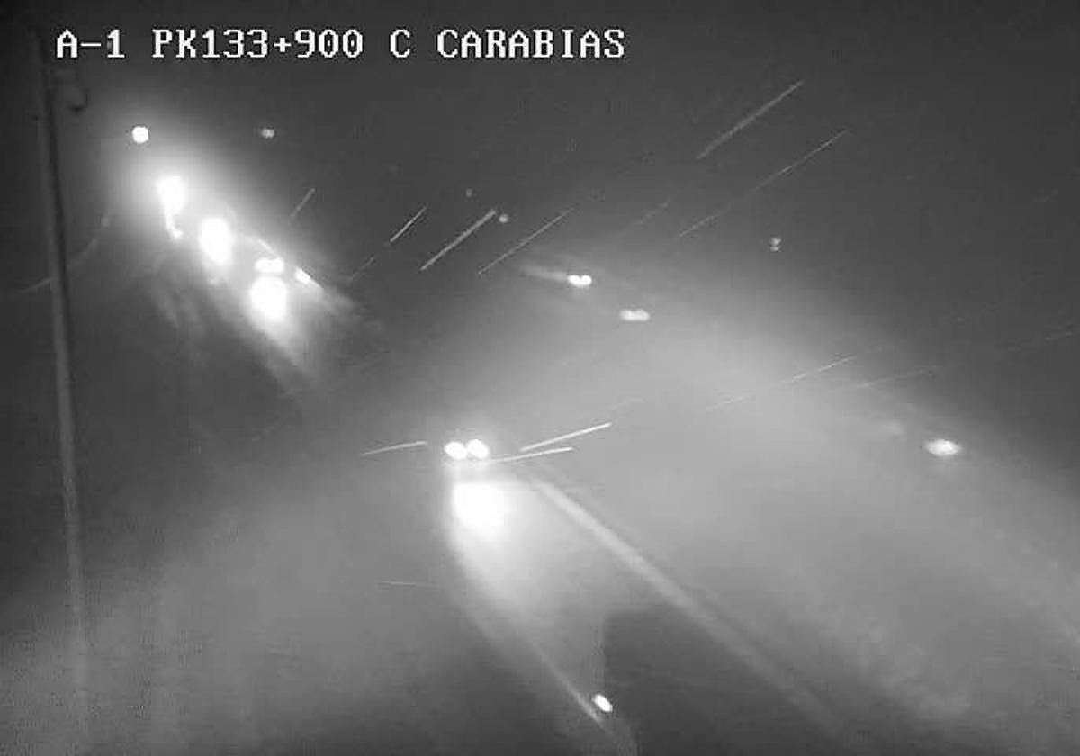 Nevada en Carabias visible en una cámara de la DGT.