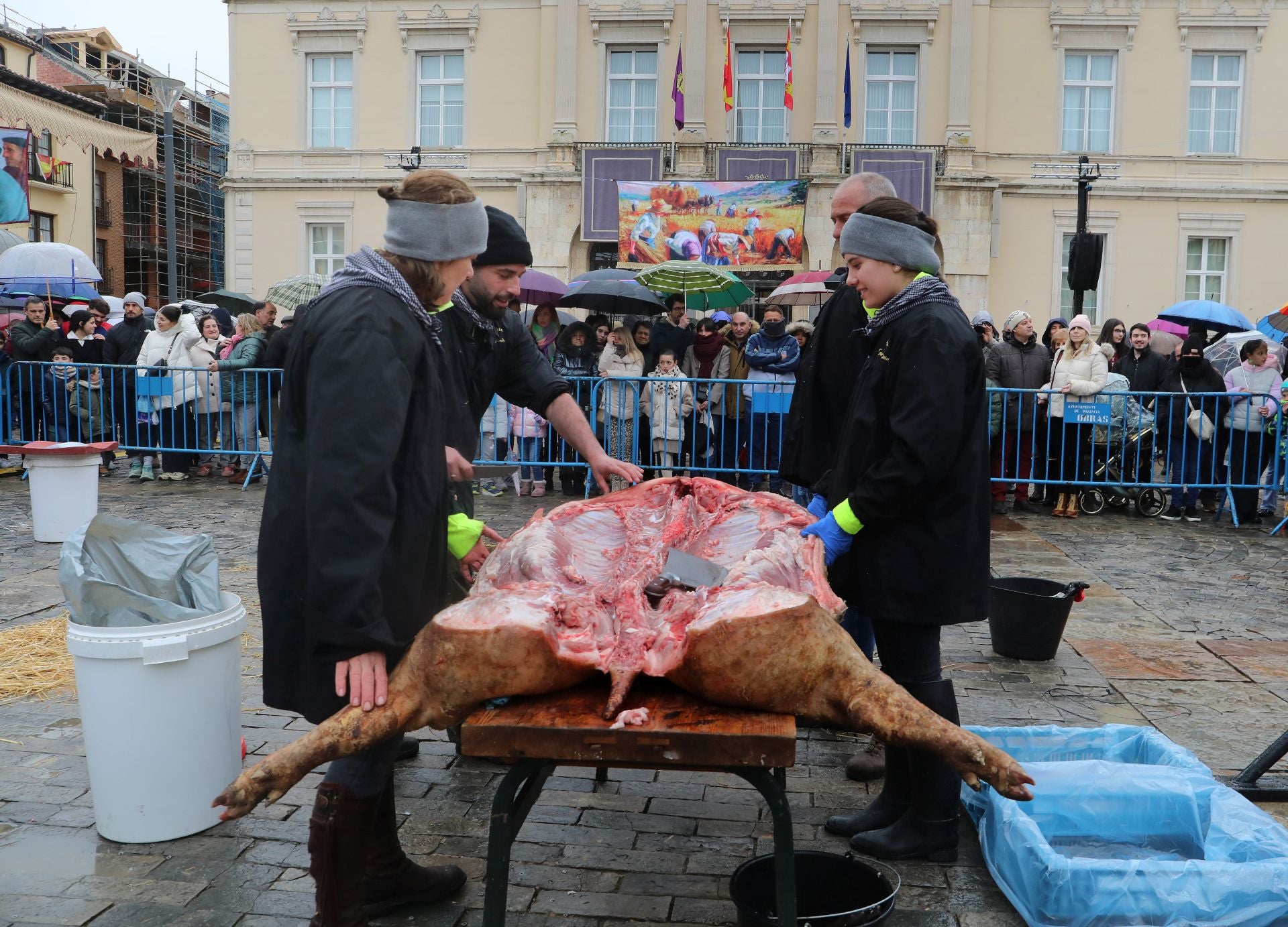 Una clase de labores del despiece del cerdo en la Plaza Mayor