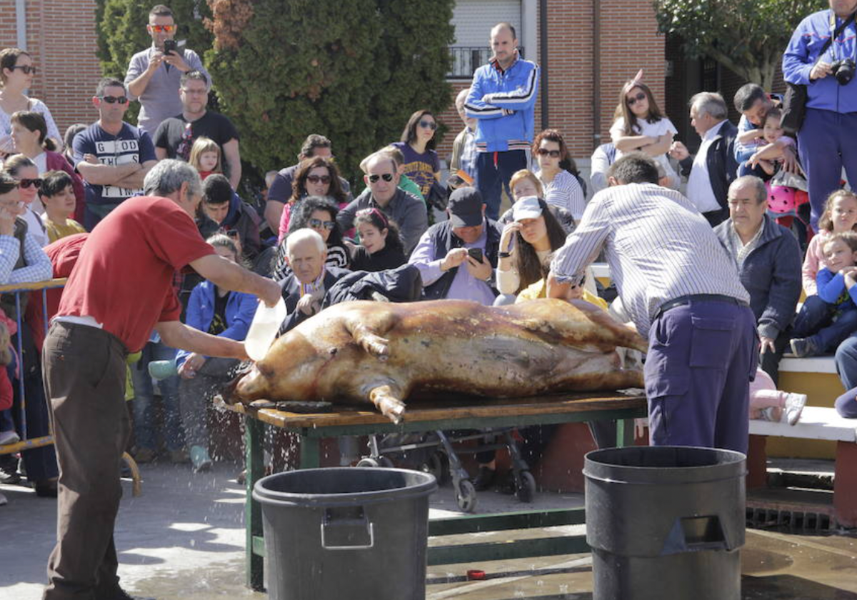 Jornada de la Matanza en Laguna de Duero.