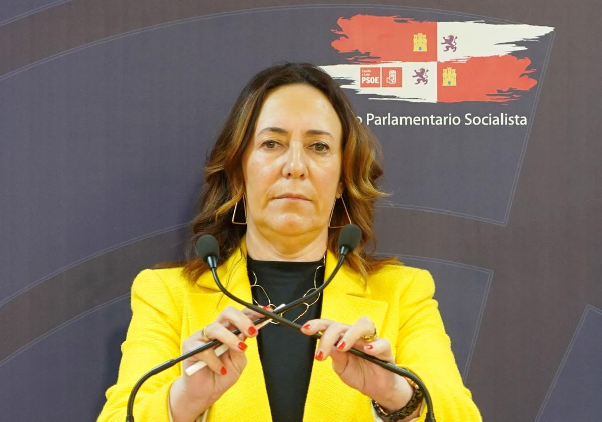 La secretaria general del Grupo Socialista en las Cortes de Castilla y León, Rosa Rubio.