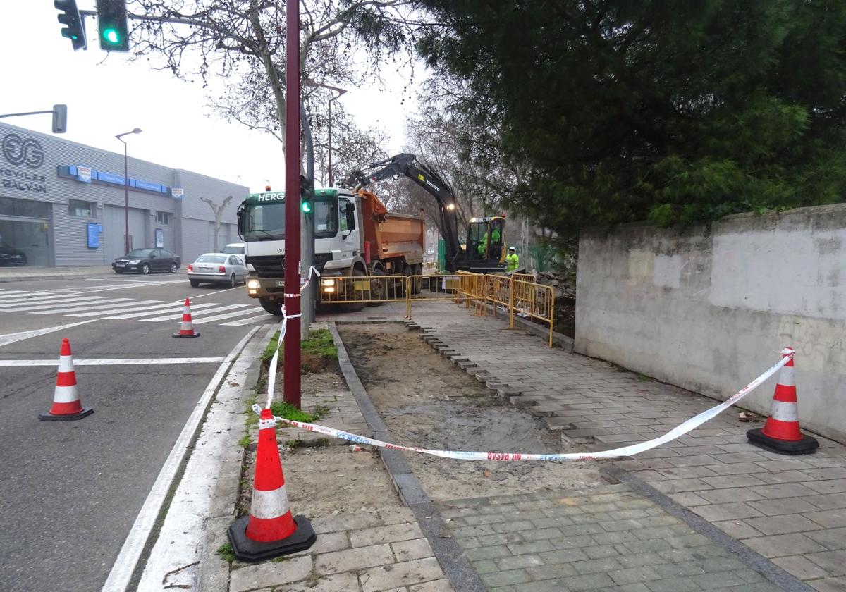 La construcción del carril bici de Pajarillos en imágenes