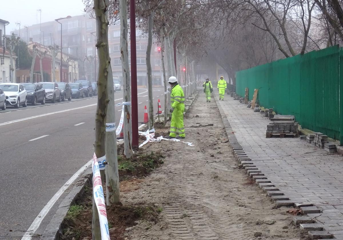 Los operarios retiran el adoquinado del viejo carril bici para construir un parterre en Juan Carlos I, entre Pingüino y el paseo del Cauce. Al otro lado, se eliminará la hilera de aparcamientos para habilitar el nuevo paso para ciclistas.