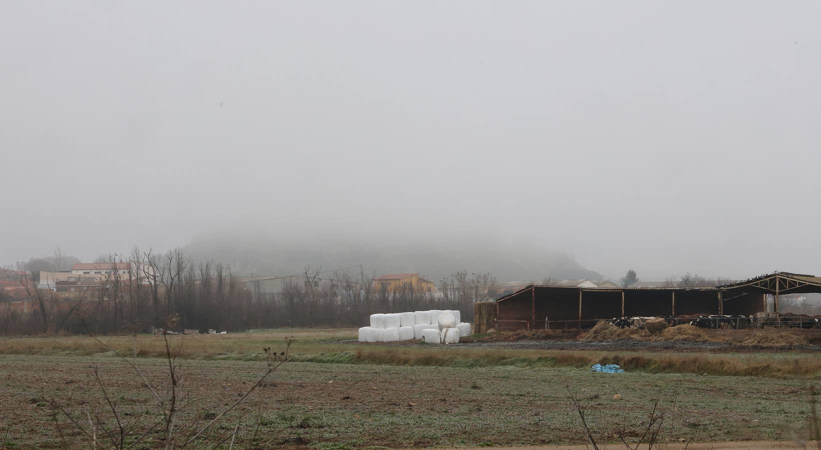 Nieblas persistentes y engelantes en Palencia