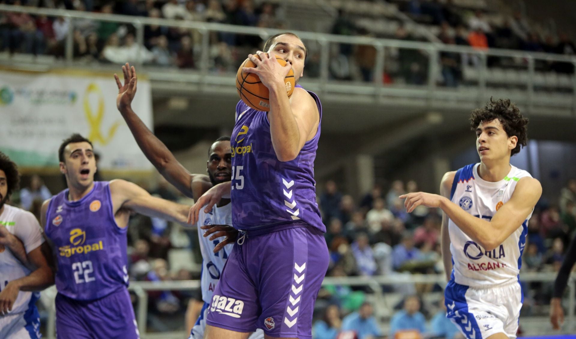 HLA Alicante 95-96 Súper Agropal Palencia