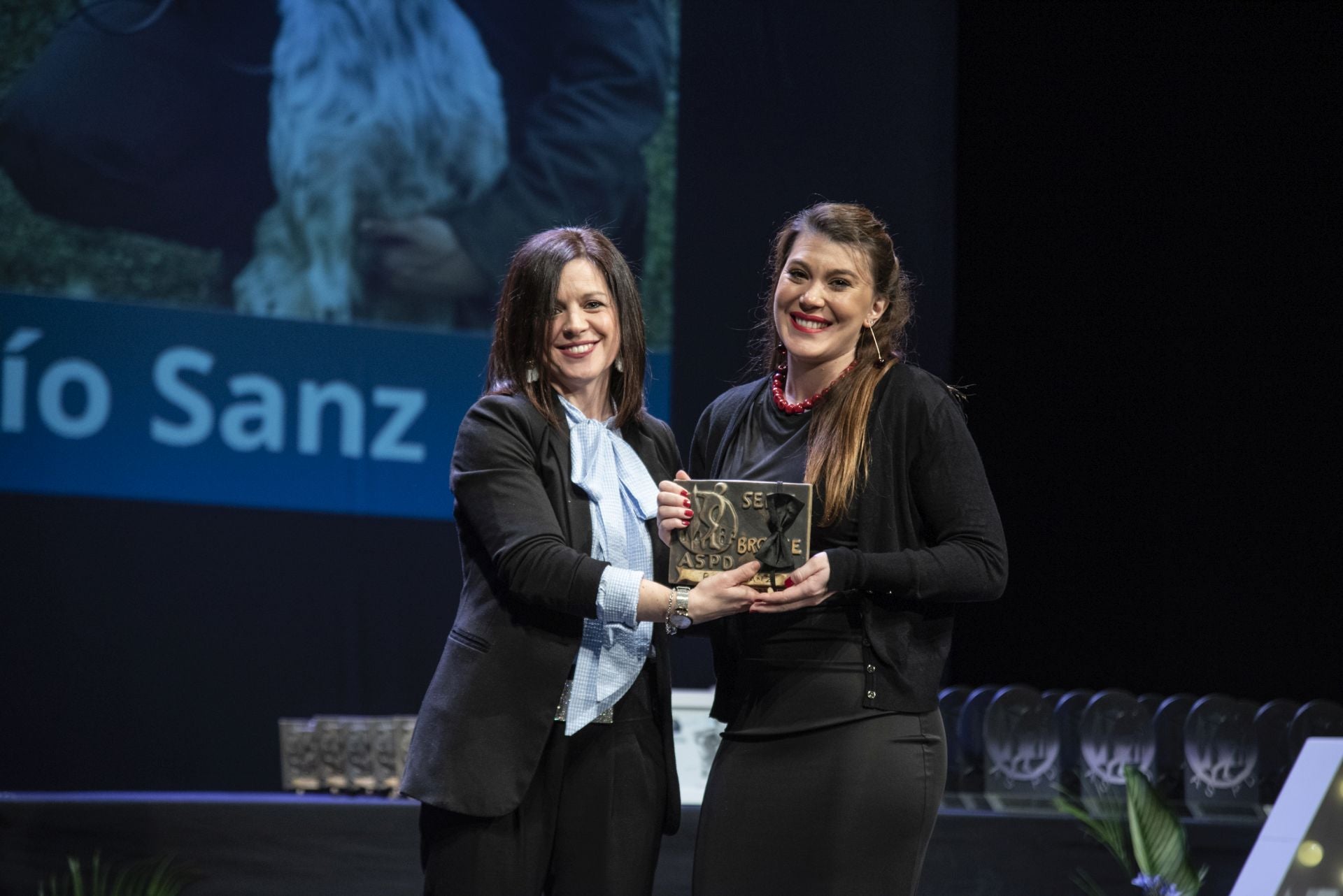 Fotos de los premiados en la Gala del Deporte de Segovia