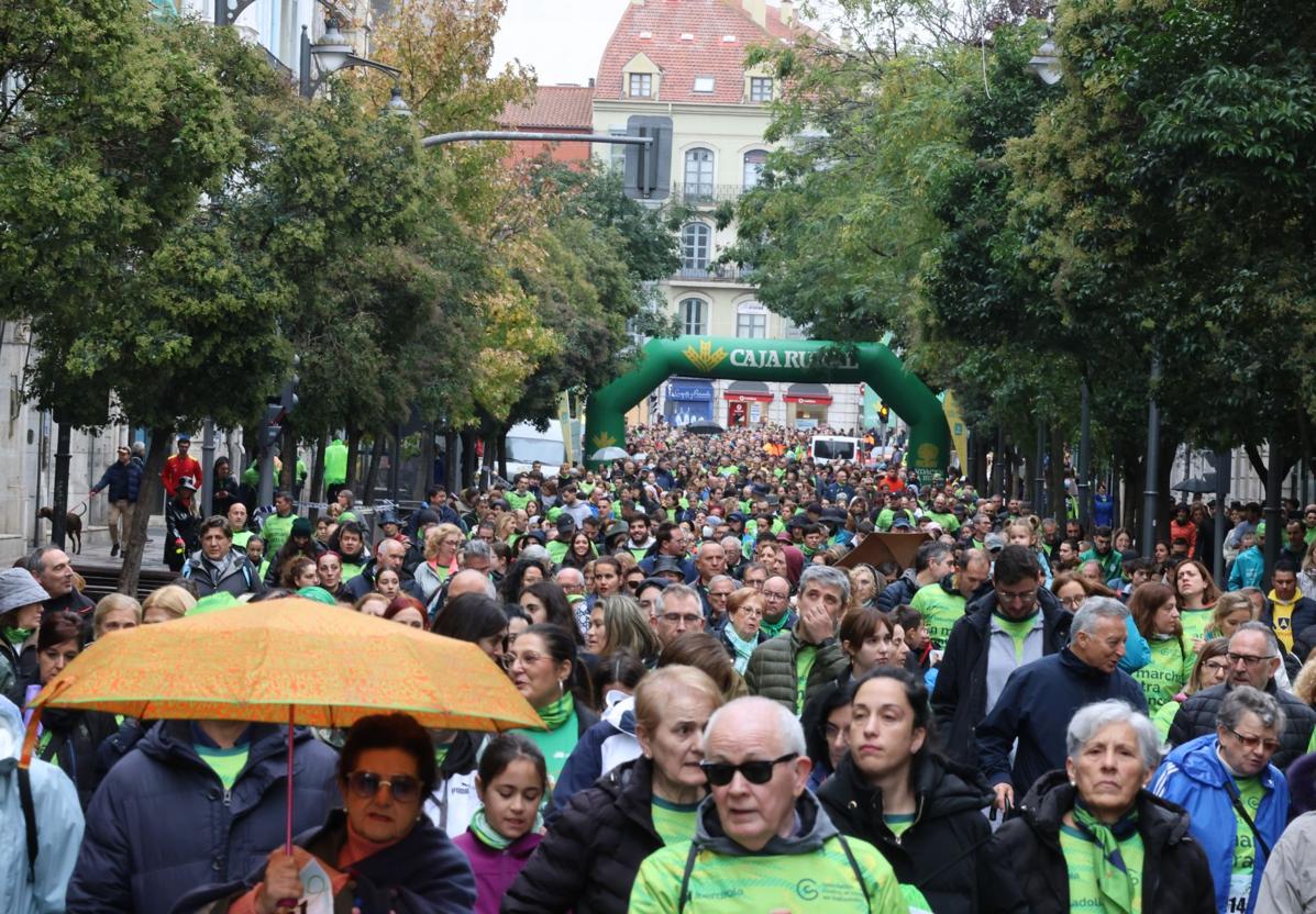 Marea contra el cáncer en Valladolid el pasado mes de octubre.