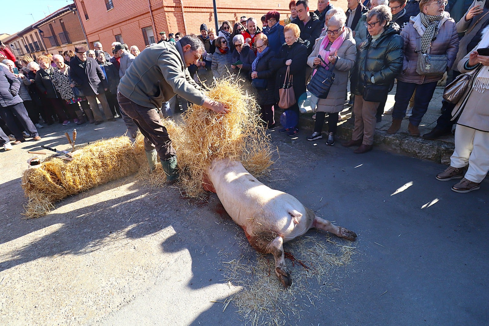 Palazuelo de Vedija celebra la fiesta de la matanza