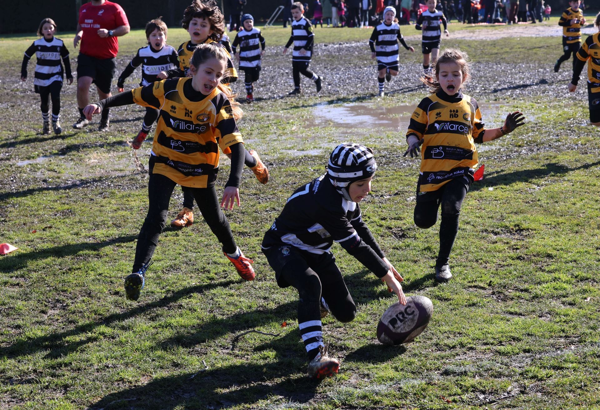 Palencia, cantera del rugby regional