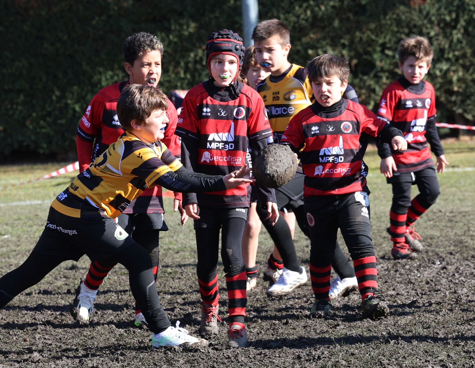 Palencia, cantera del rugby regional