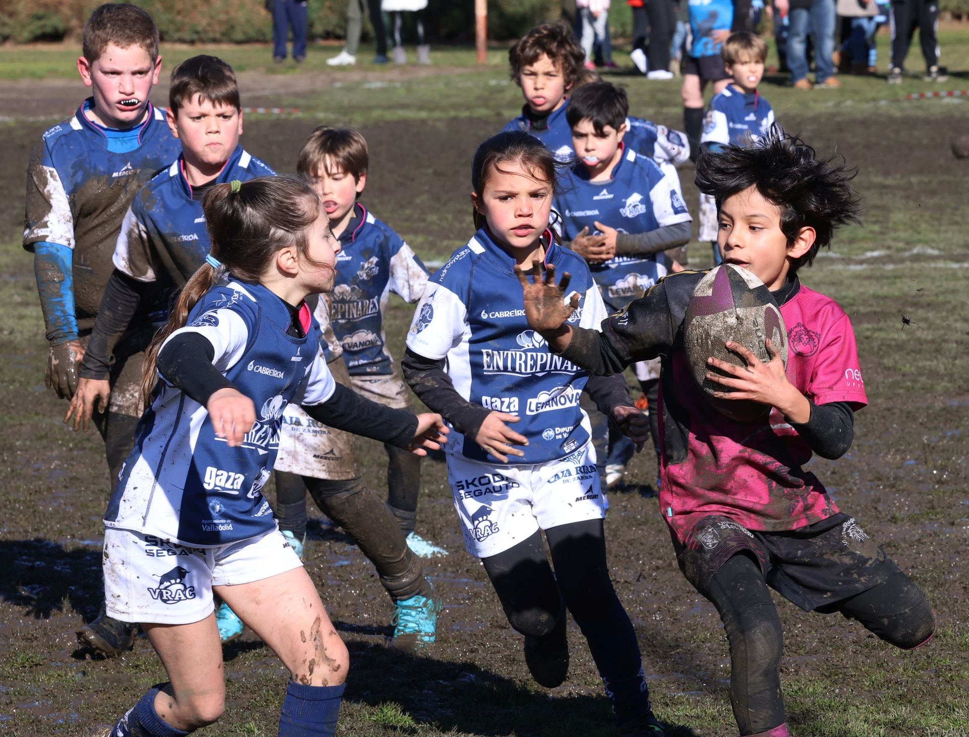 Palencia, cantera del rugby regional