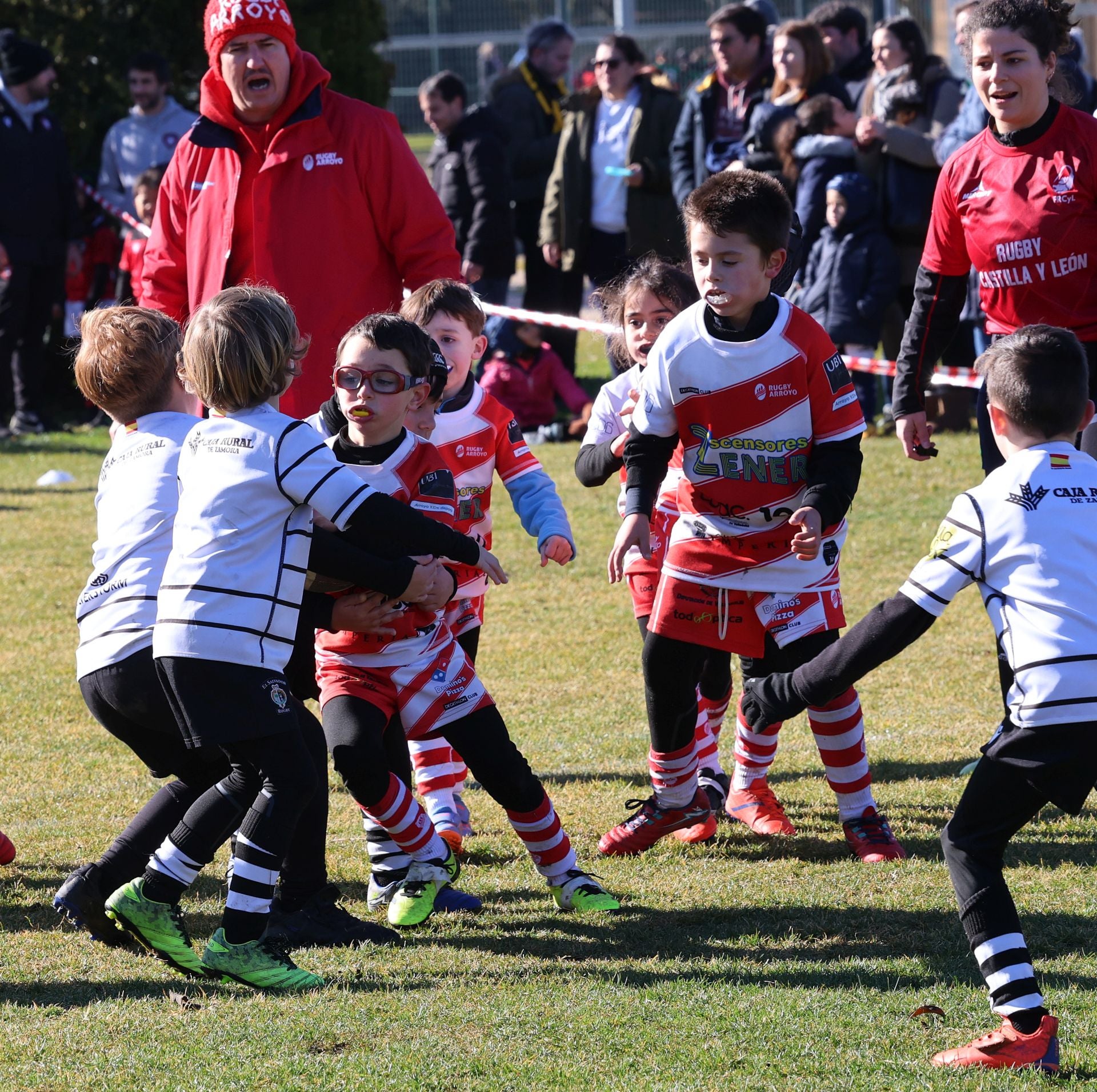 Palencia, cantera del rugby regional