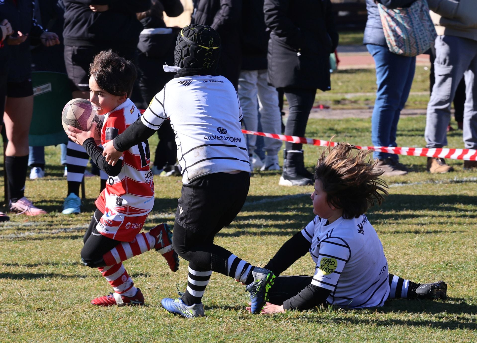 Palencia, cantera del rugby regional