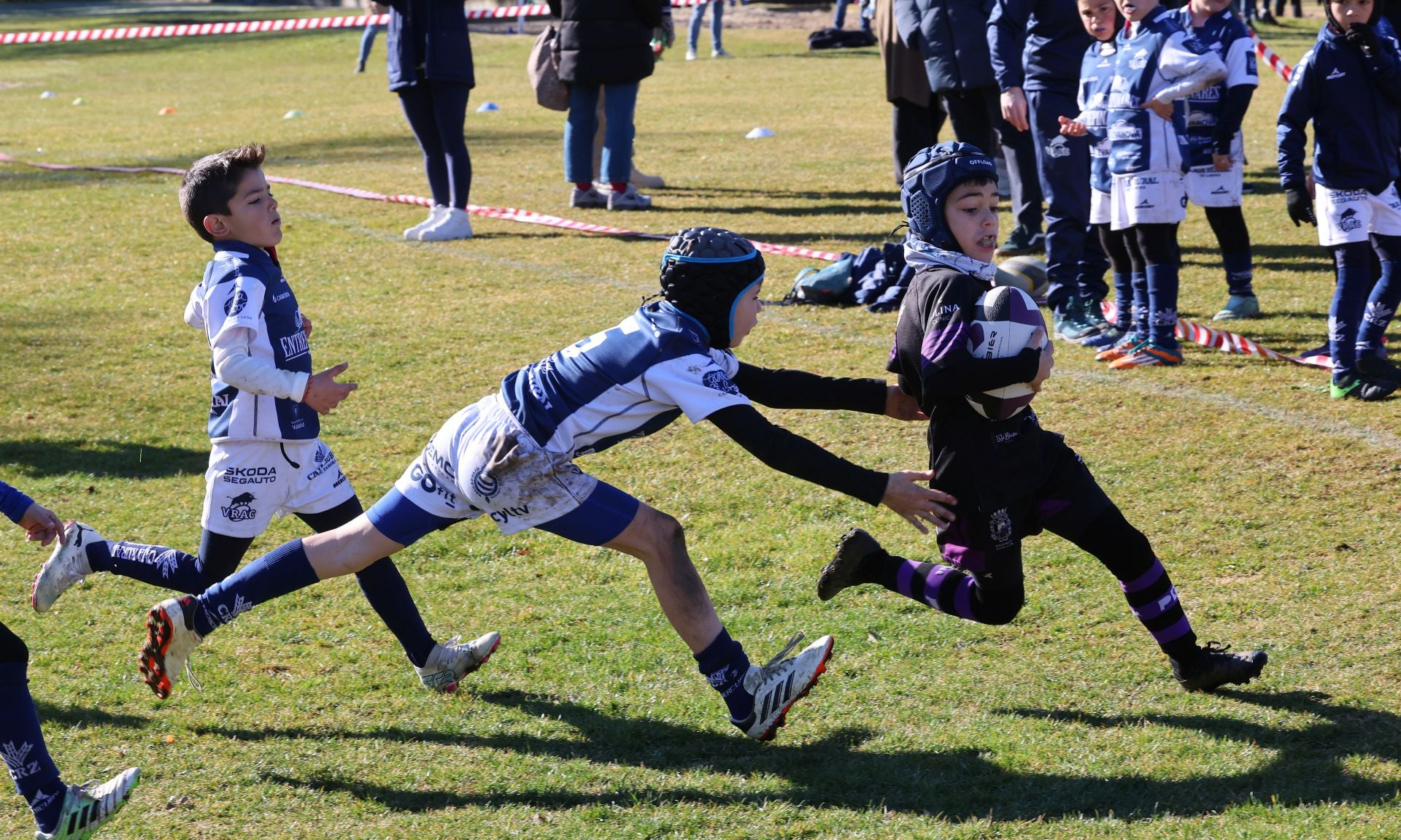 Palencia, cantera del rugby regional