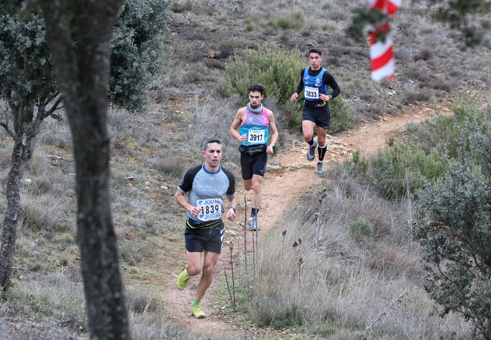 Así ha sido el Trail Monte el Viejo