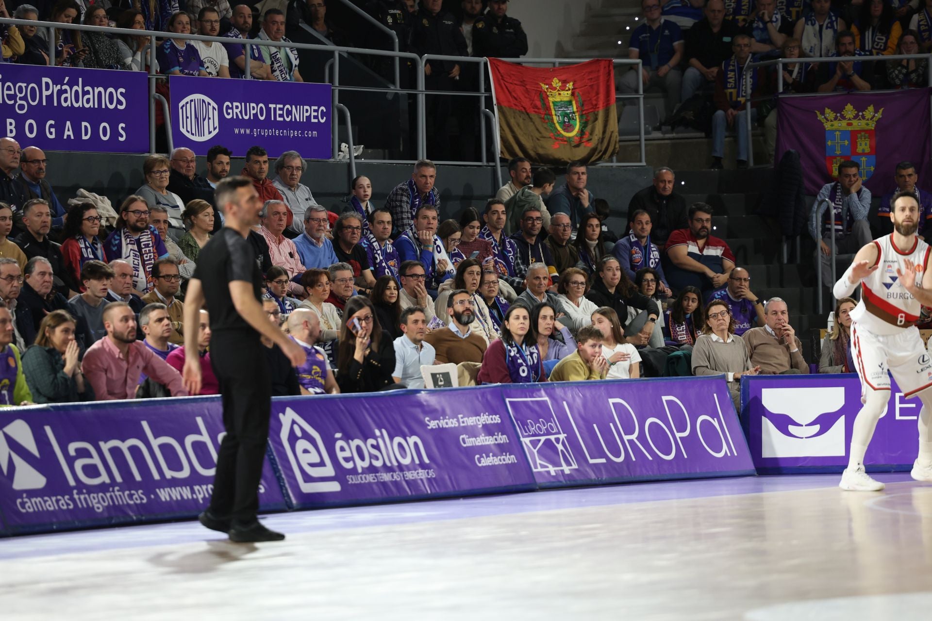 Búscate en las gradas del Palencia-San Pablo Burgos