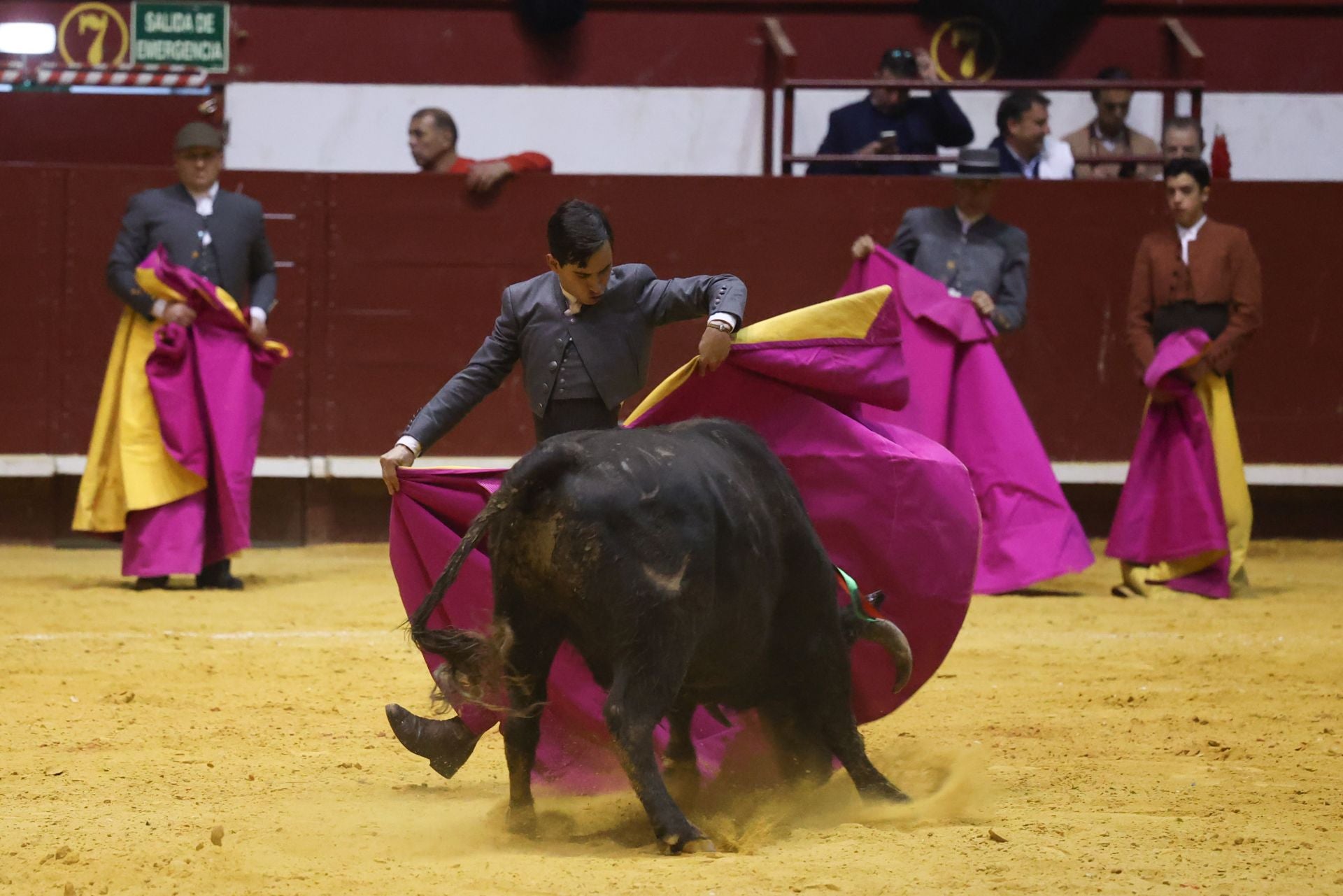 El IX Festival Taurino de La Flecha, en imágenes